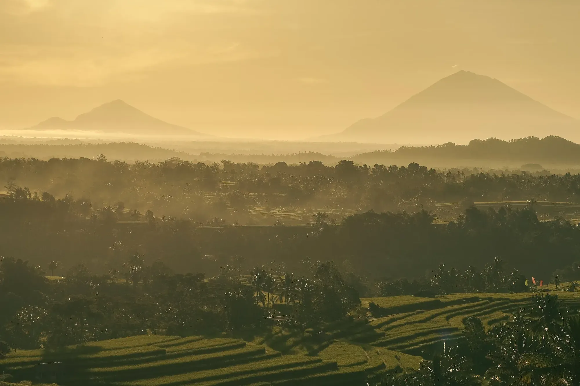 Golden sunrise over rice terraces and volcanic mountains in Bali