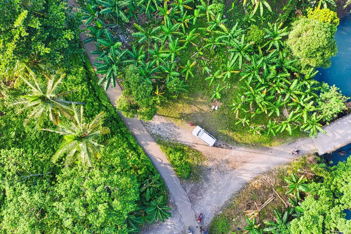 A private car travelling through a lush tropical road in Indonesia